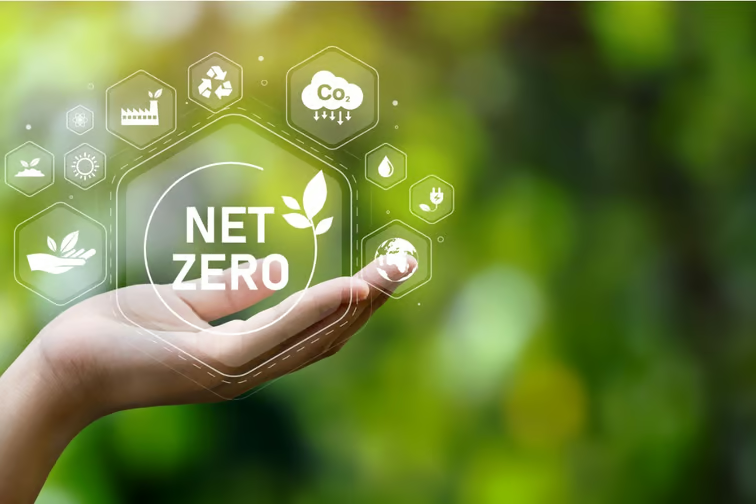 Net-Zero Insurance Alliance eliminated all requirements for Insurers