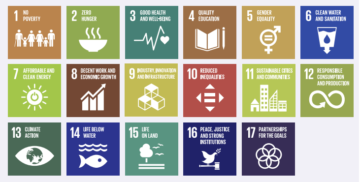The UN’s Sustainable Development Goals