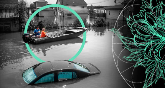 U.S. Flood Insurance Market Grow Up to $4.1 bn