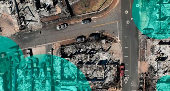 Insured losses from deadly Hawaii wildfires estimated $2.5-4bn