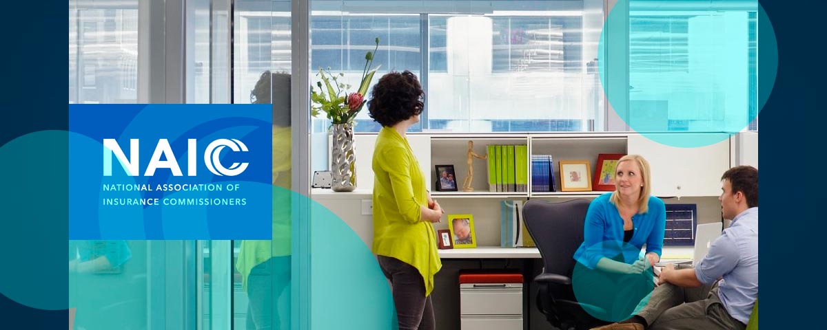 NAIC adopts change to life insurer capital & investments monitoring