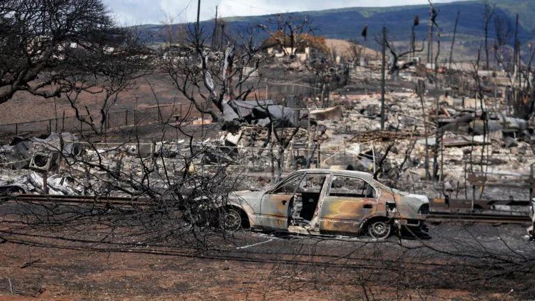 Insured losses for the Hawaii wildfires will be at $1 bn