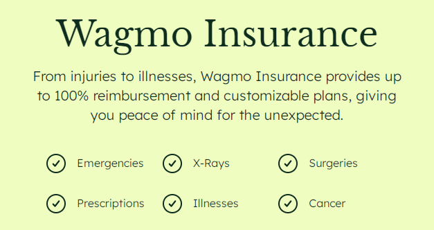 Wagmo offers the wellness plan without an insurance plan