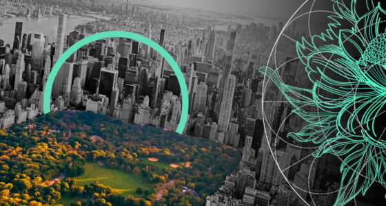 Health Insurance Premium Rate Increases in New York