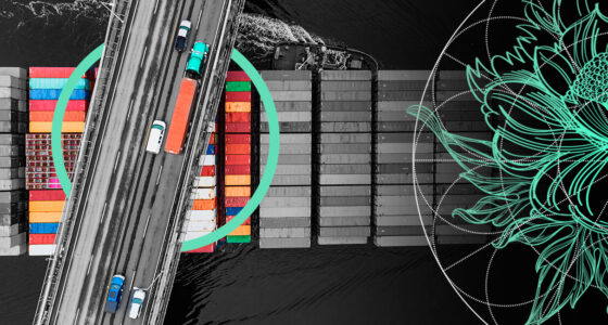 Cyber Supply Chain Risk: Background & Innovation