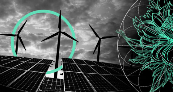 How Does Insurers Adapt to New Directions for Reaching Net Zero?