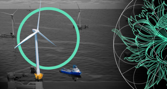 Insurance Can Minimize the Renewable Energy Transition Risks