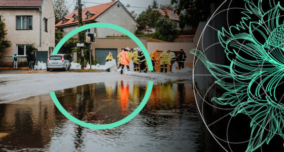 Insured Losses from Winter Storm Ciarán Outlook