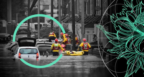 Insured Losses from Winter Storm Ciarán Outlook