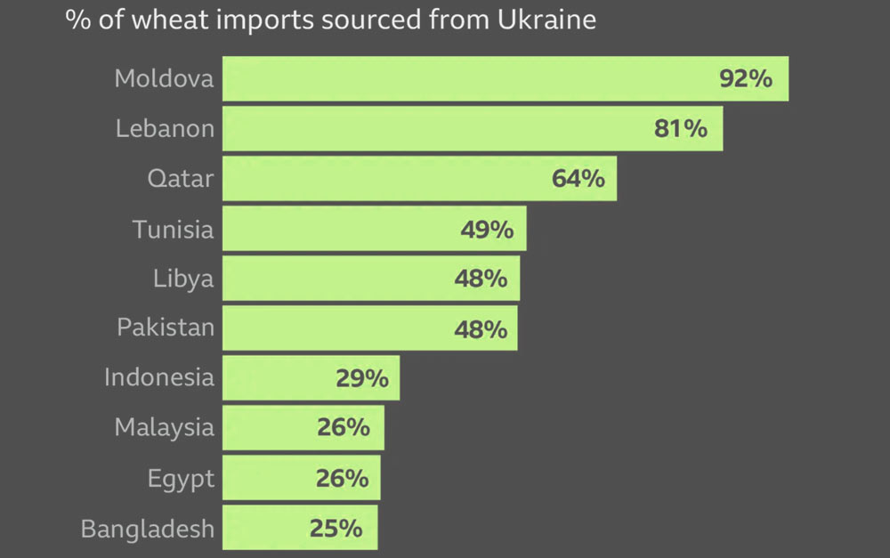 Ukraine plays cruitical role in the global food supply