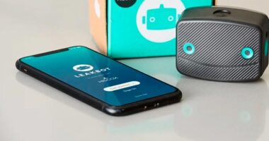 Insurtech Ondo raised $1.3 mn through a new placement
