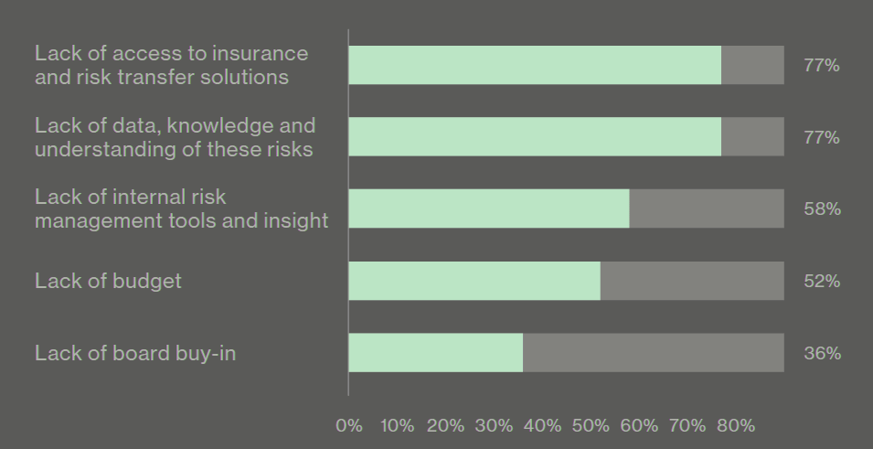 What are the three greatest challenges to addressing your risks over the next 3 to 5 years?