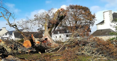 PERILS updated insurance loss for Windstorm Ciarán (Emir) in Europe
