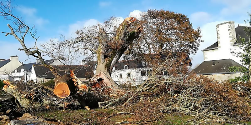 PERILS updated insurance loss for Windstorm Ciarán (Emir) in Europe