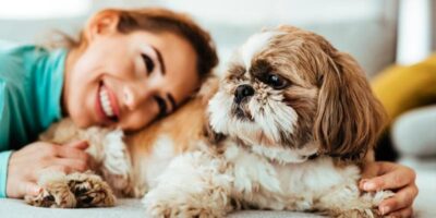 MetLife Pet Insurance partnered with Association of Animal Welfare Advancement