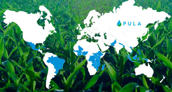 Agri-tech startup Pula sequred $20 mn Series B funding led by BlueOrchard
