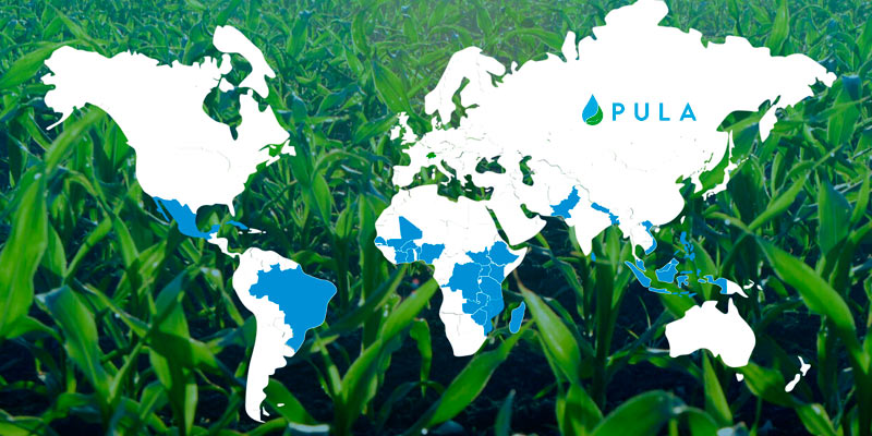 Agri-tech startup Pula sequred $20 mn Series B funding led by BlueOrchard