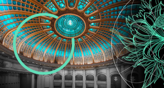 Reinsurance Market Report: Reinsurer's Capital & Profitability