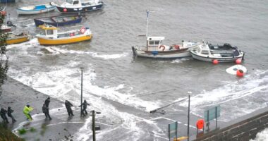 PERILS estimated insured loss for Babet-Aline Floods & Storms