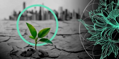 Impact of Climate Change on Health & Life Insurance Industries