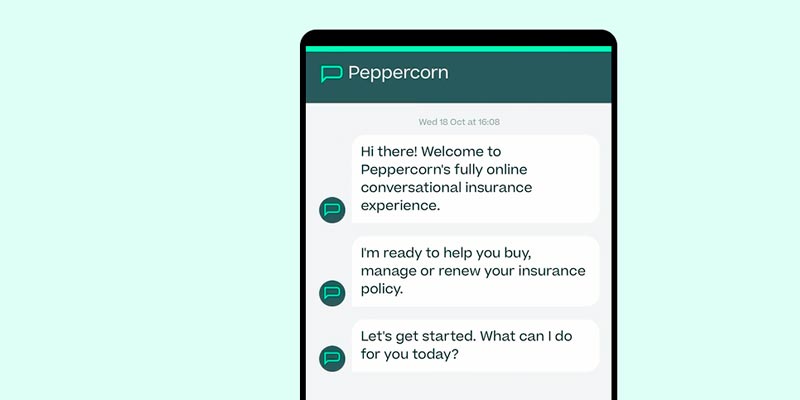 AI insurtech PeppercornAI raised £3.25 mn