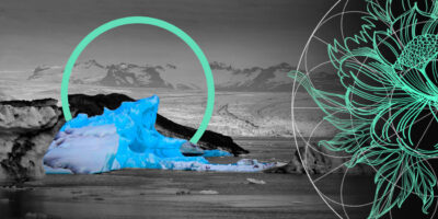 Forum for Insurance Transition to Net Zero Scales Up Climate Action by Insurers