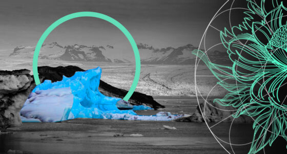 Forum for Insurance Transition to Net Zero Scales Up Climate Action by Insurers