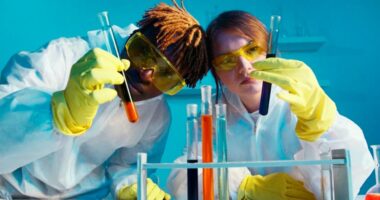 Health sector can be hardest hit by adverse effects of artificial intelligence