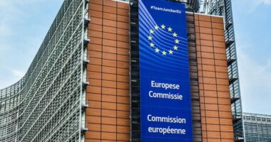 Insurance industry calls on European Commission to deliver Solvency II deal