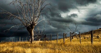 $117 bn in economic and $58 bn insured losses from natural disasters in 1H 2024