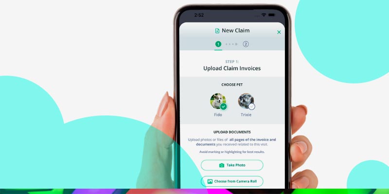 Chubb's acquisition of pet insurance MGA Healthy Paws valued at 0 mn