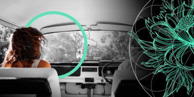 TOP 50 Largest U.S. Passenger Auto Liability Insurance Companies