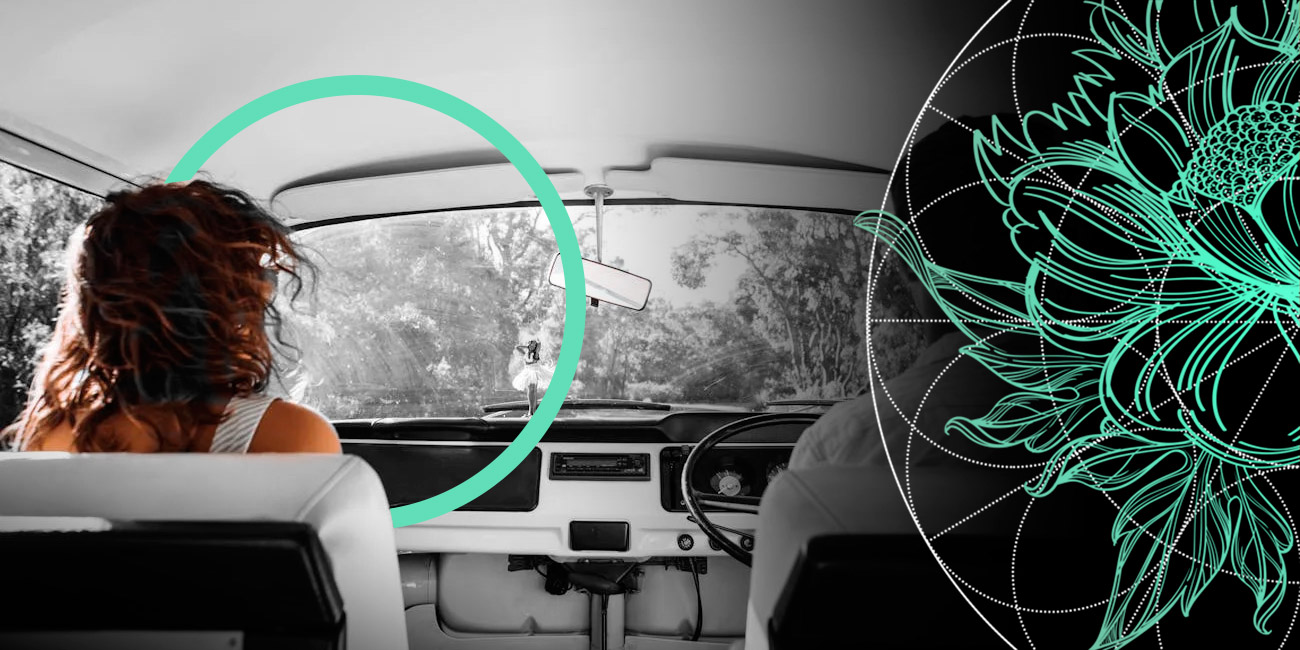 TOP 50 U.S. Private Passenger Auto Liability Insurers