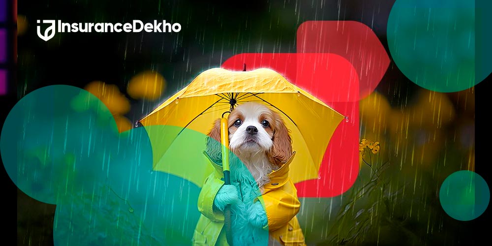 IRDAI grants approval for InsuranceDekho to enter reinsurance broking