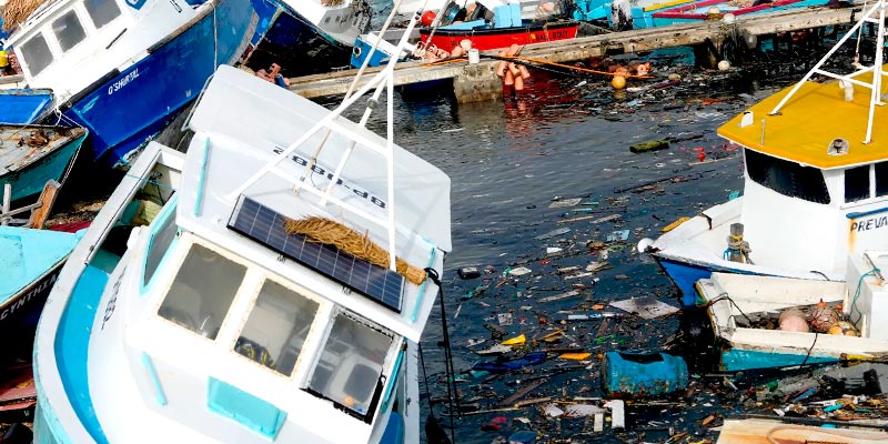 Moody's estimates U.S. insured losses from Hurricane Beryl to .5-4.5 bn