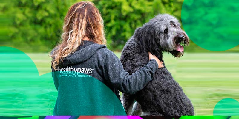 Chubb's acquisition of pet insurance MGA Healthy Paws valued at 0 mn