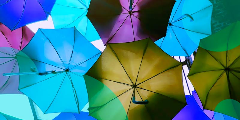 Insurity survey highlights growing consumer concerns about P&C insurance