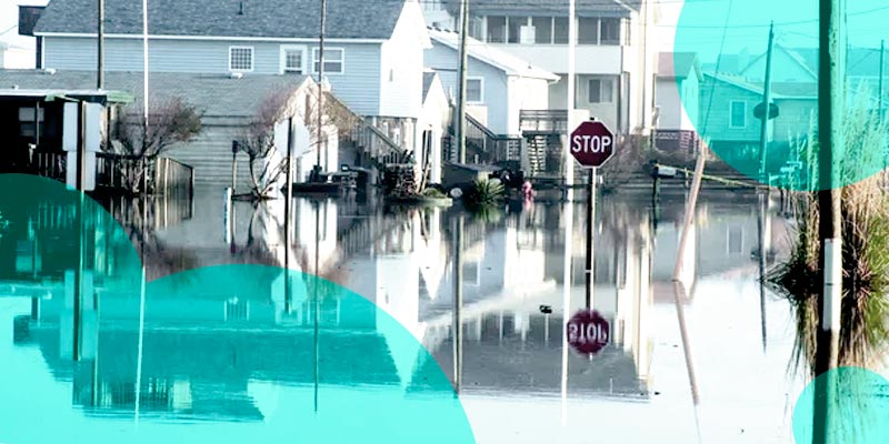 Insurers faced 8 mn in losses after storms triggered flash floods in Ontario