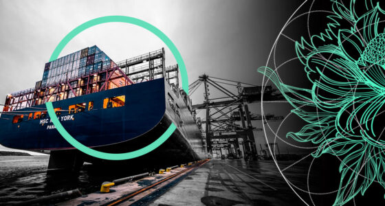 Business Interruption Risk Insurance for Global Supply Chains