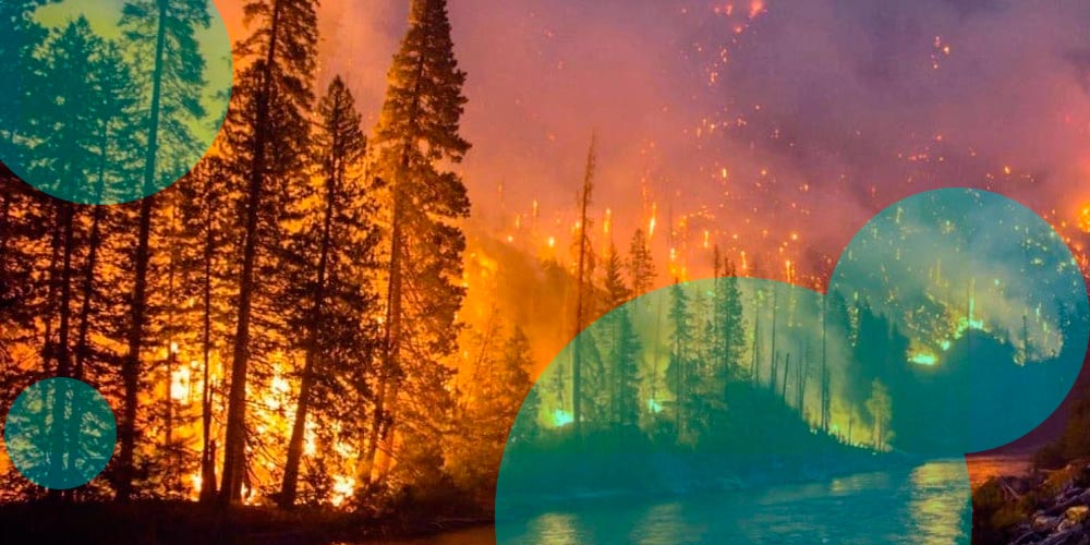 Wildfire & flooding caused 4 mn in insured losses in Nova Scotia (Canada)