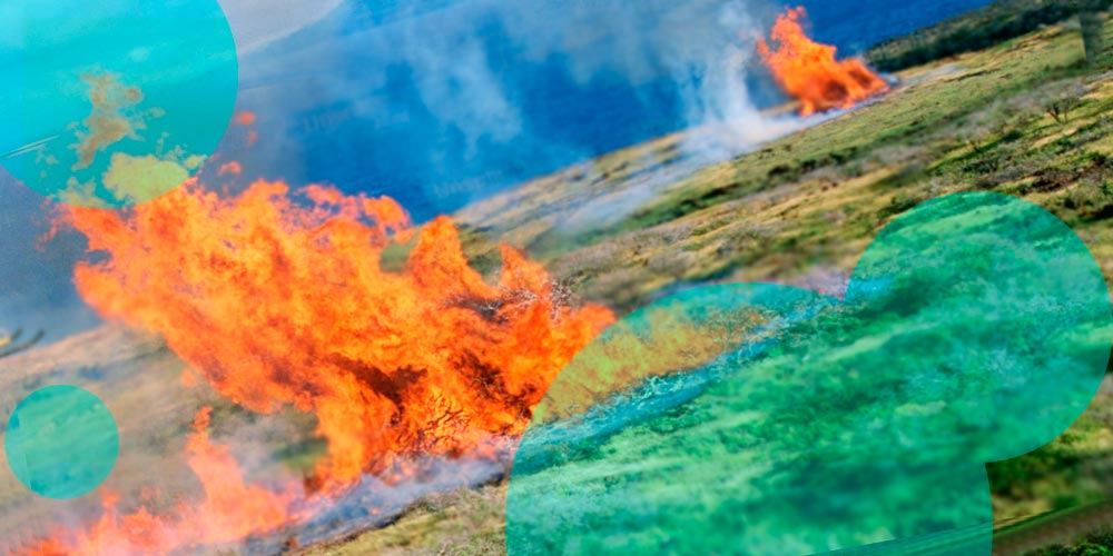 Global insured losses from natural catastrophes to reach $60 bn in H1 2024