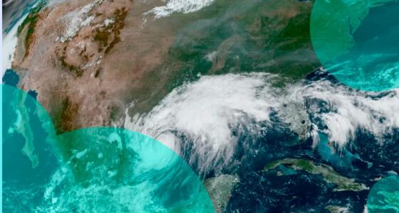 Tropical Storm Francine hitting  bn insured losses - Gallagher Re