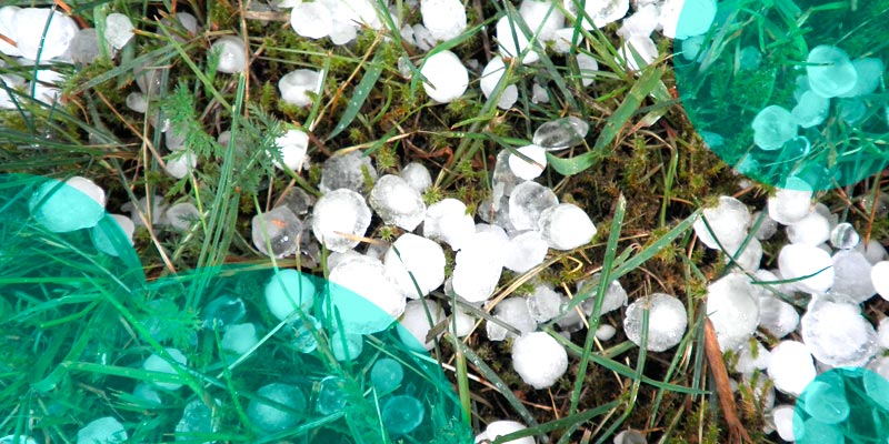 Insured losses from a Calgary Hailstorm IBC estimated $2.1 bn