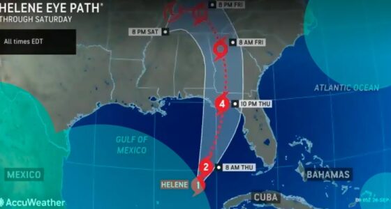 Insurance market losses from Hurricane Helen are expected to reach $6-10 bn