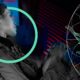 Cyber Insurance: A Critical Component for Healthcare Security