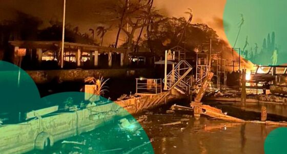 U.S insurers challenge subrogation ban in $4bn Maui Wildfire settlement