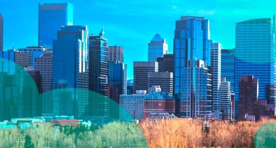 Alberta launched no-fault auto insurance system with savings for drivers
