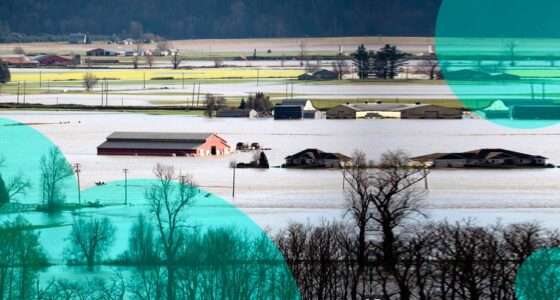 Insured losses surpassed C0 mn following severe storms & flooding in Canada