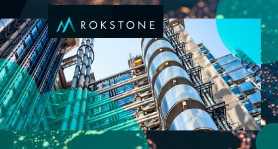 (Re)insurance MGA Rokstone acquired a second box 398a at Lloyd’s