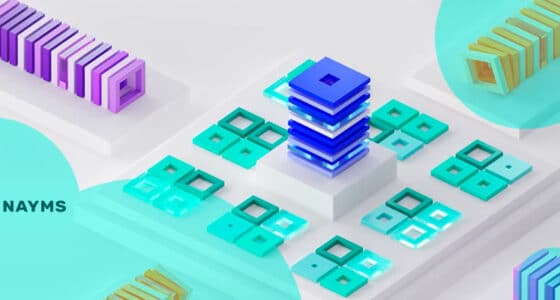 Scaling the insurance industry with blockchain & DeFi: Insights from Nayms